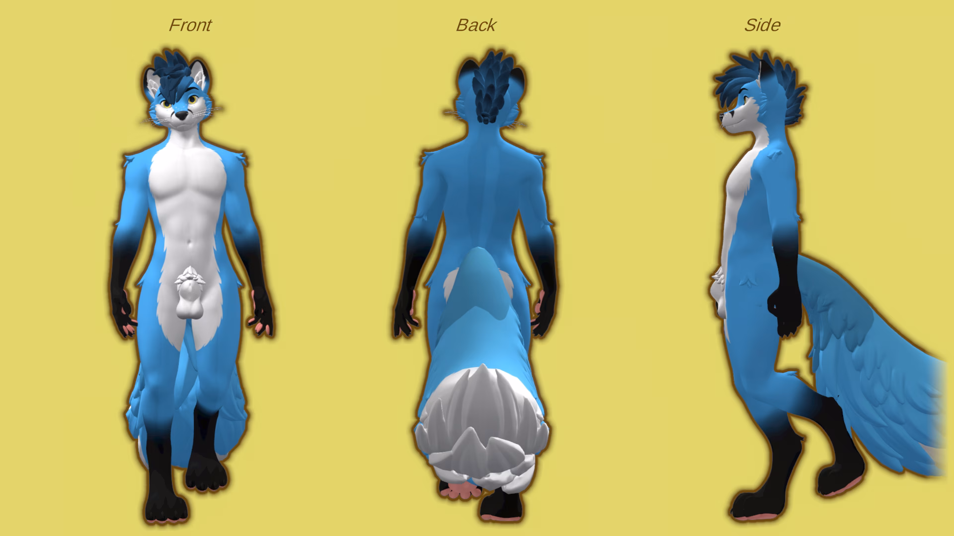 Fursona Refsheet showing front, back and side view